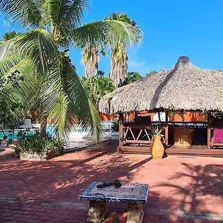Woodstock Palmresort Curacao Βίλλεμσταντ Εξωτερικό φωτογραφία