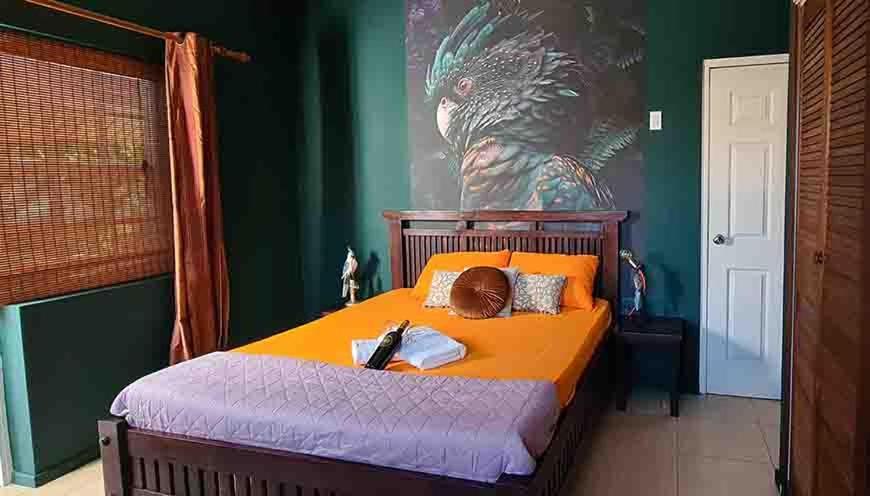 Woodstock Palmresort Curacao Βίλλεμσταντ Εξωτερικό φωτογραφία