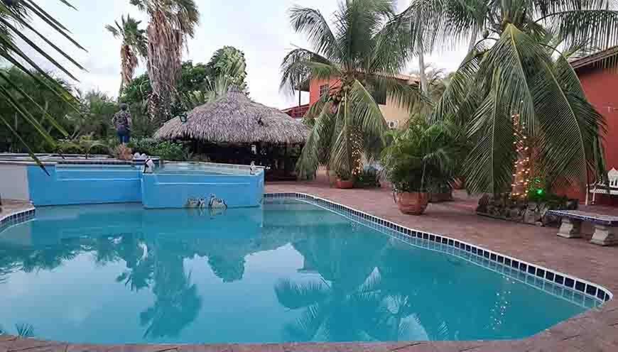 Woodstock Palmresort Curacao Βίλλεμσταντ Εξωτερικό φωτογραφία