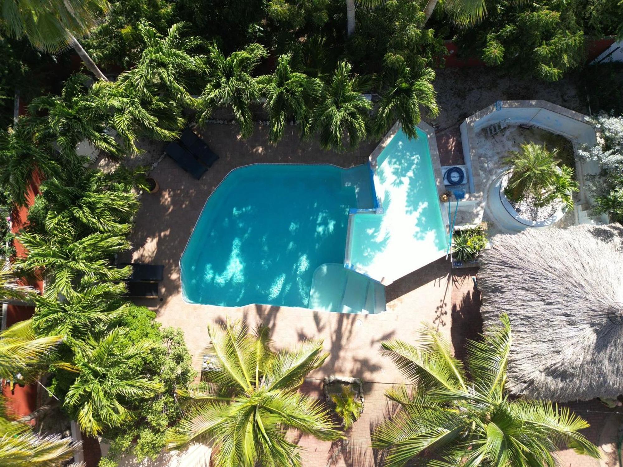Woodstock Palmresort Curacao Βίλλεμσταντ Εξωτερικό φωτογραφία
