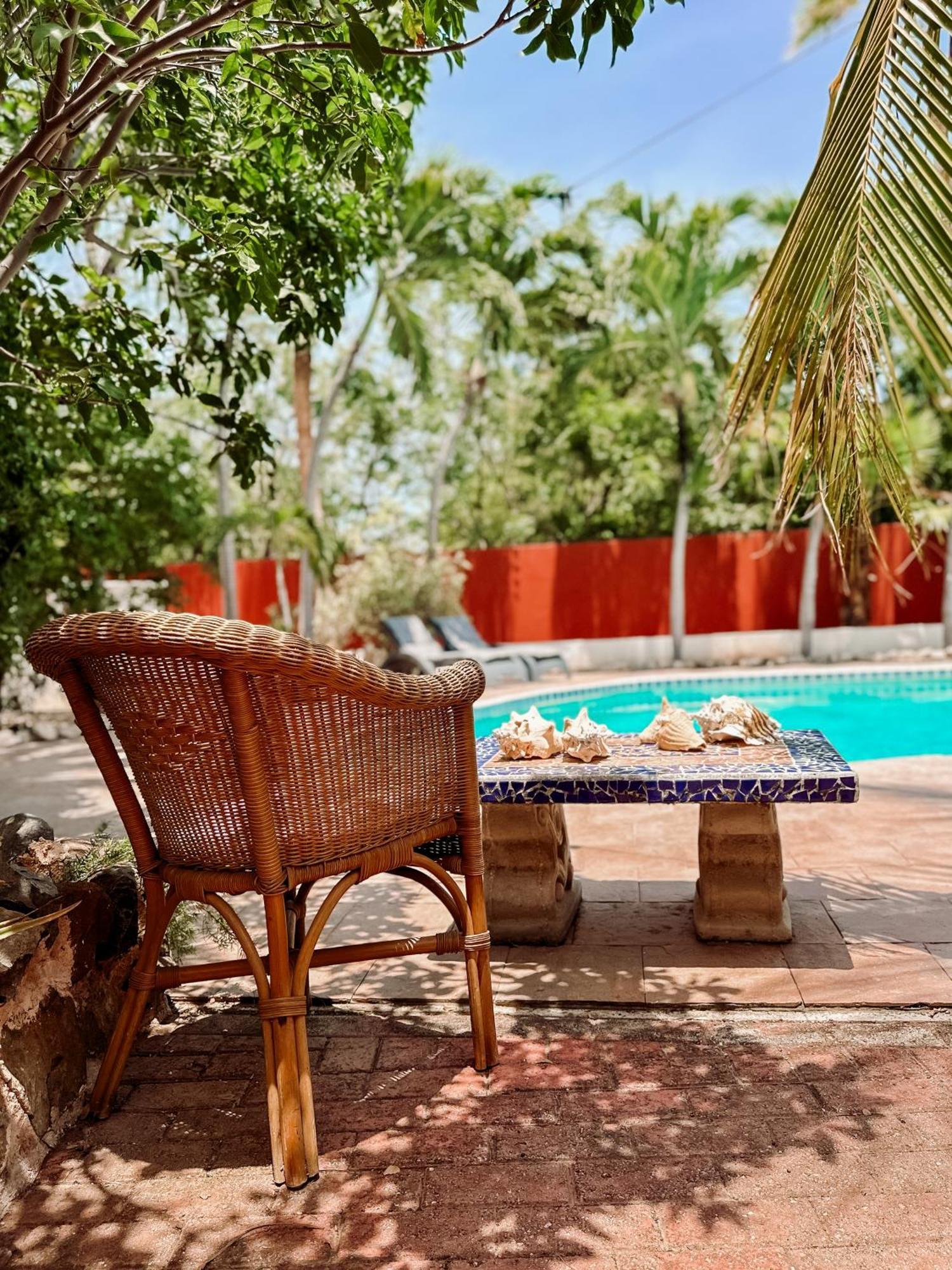 Woodstock Palmresort Curacao Βίλλεμσταντ Εξωτερικό φωτογραφία