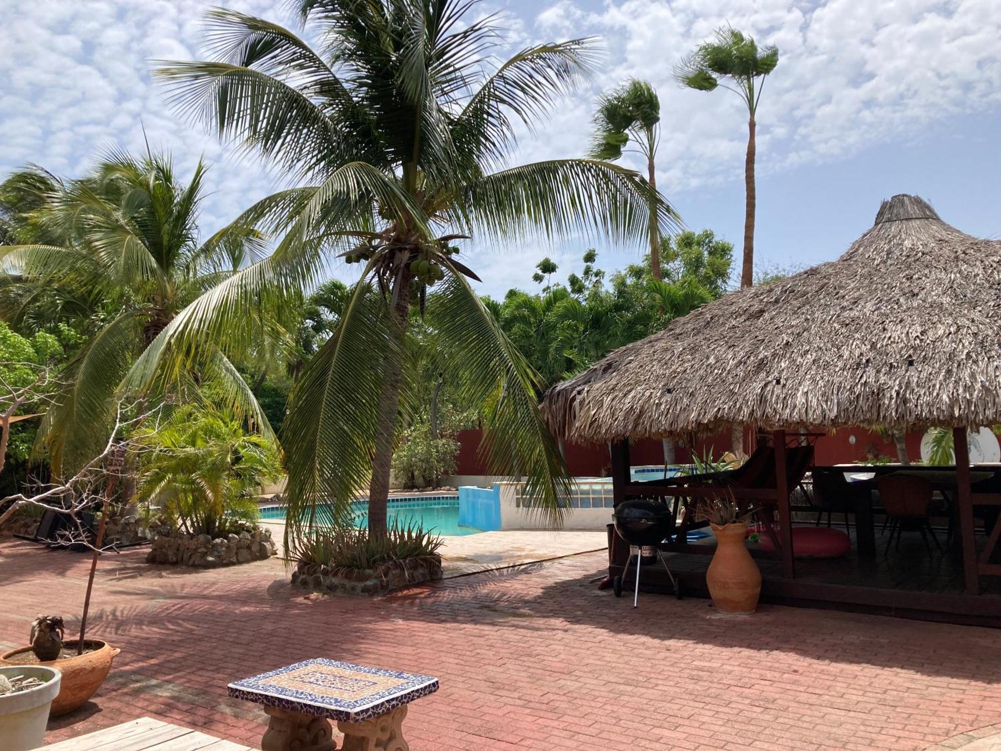 Woodstock Palmresort Curacao Βίλλεμσταντ Εξωτερικό φωτογραφία
