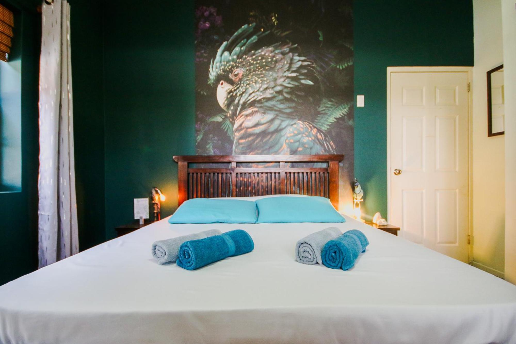 Woodstock Palmresort Curacao Βίλλεμσταντ Εξωτερικό φωτογραφία